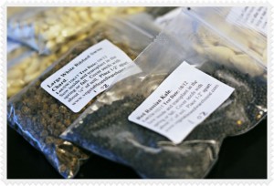 Seed Packets