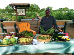PIF Farm Stand