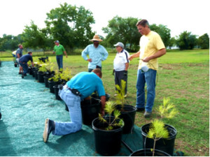 Scotts Miracle-Gro Crew