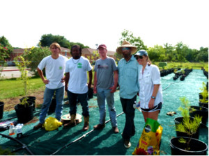 Trees For Houston Staff