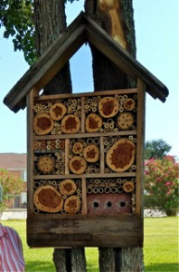 This luxury bee condo is prime real estate for our native bees to call home. Solitary bees lay their eggs in the nooks and crannies.