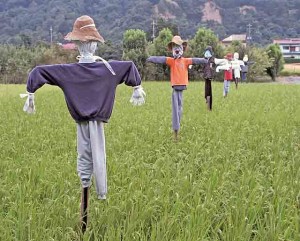 Scarecrows