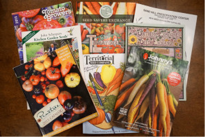 Seed Catalogs