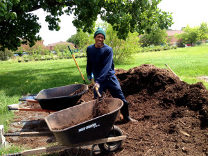 Bill kept 6 wheelbarrows full of mulch.