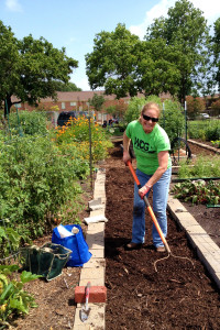 Cindy rakes the mulch smooth in the weed-free aisles.