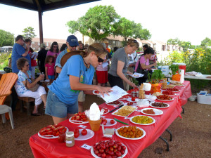 Tomato Tasters