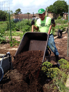 Wayne supervised the operational and delivered mulch to the aisles.