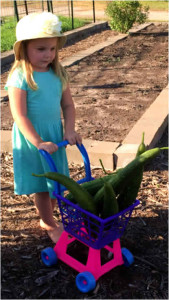 Granddaughter with basket of loofahs