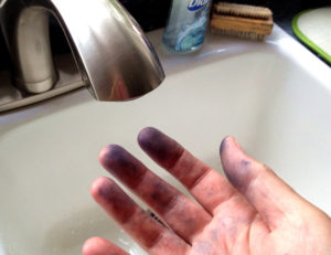 Warning: The juice stains everything!